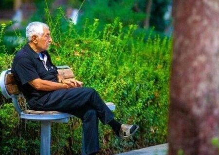 برنامه جدید تامین اجتماعی، کشوری و لشکری مشخص شد