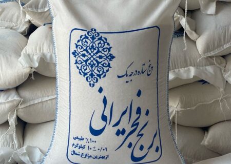 بهترین برندهای مواد غذایی در ایران