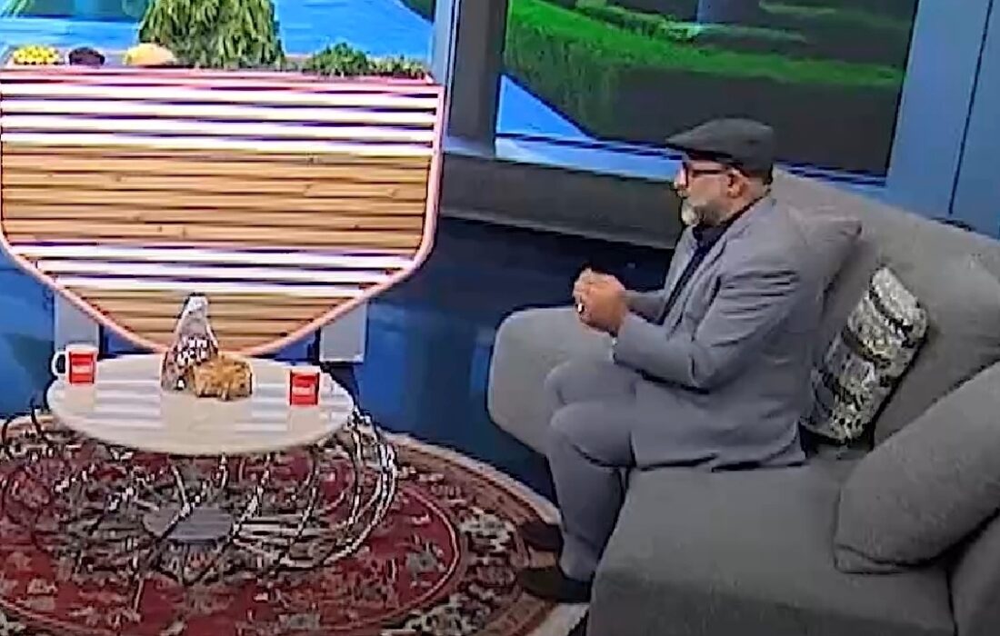 راهکار طب سنتی برای خروج سموم از بدن + فیلم