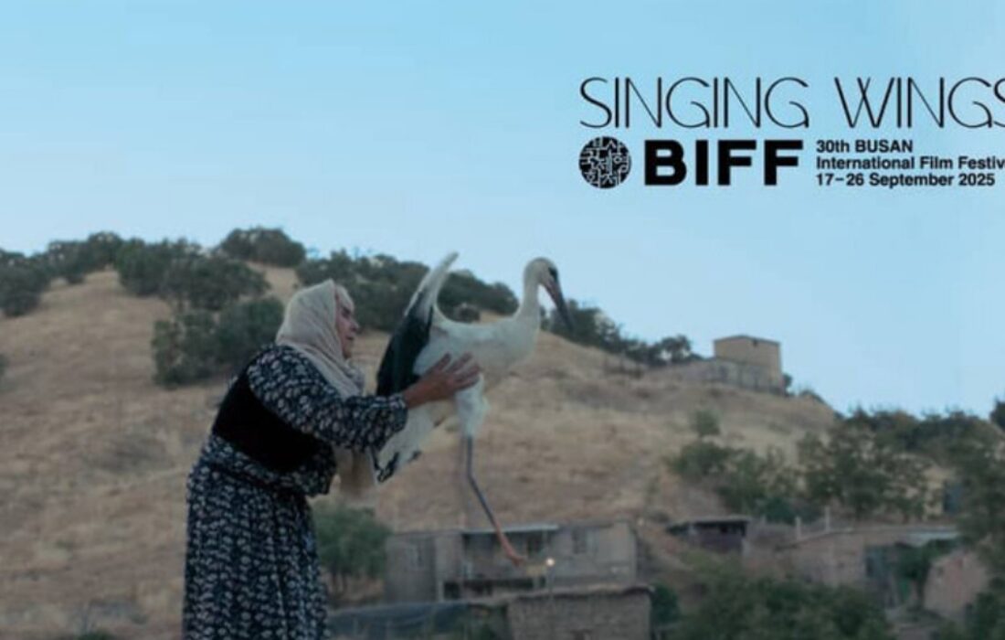 پرواز «بالهای آوازخوان» به جشنواره بوسان