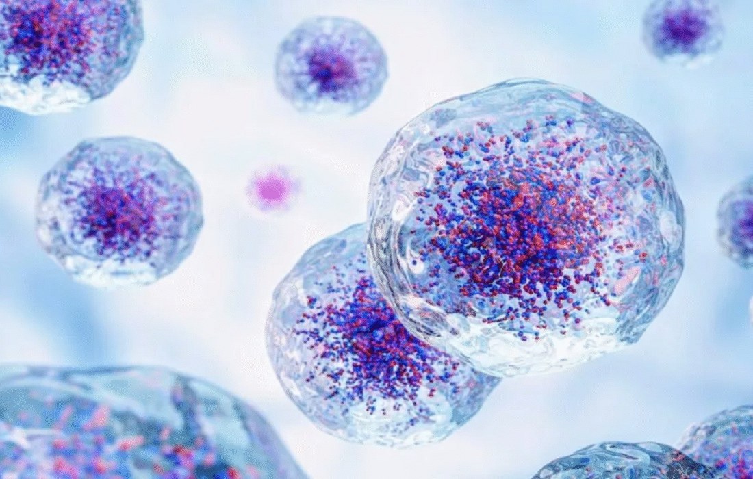 سلولها برای جوان شدن «استفراغ» میکنند