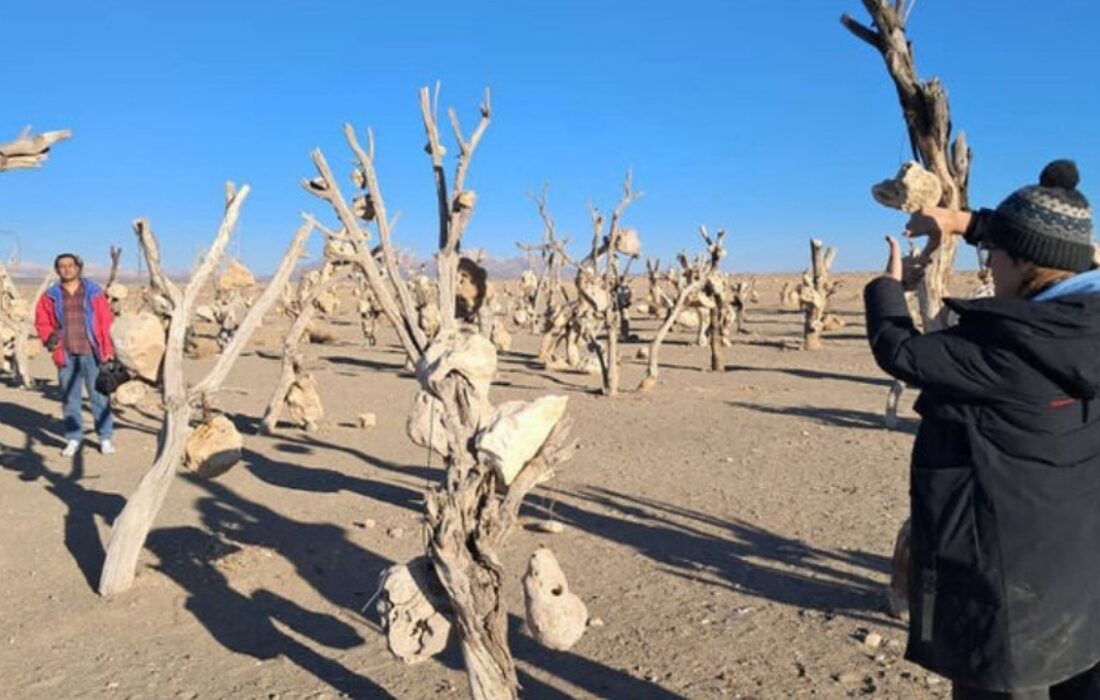 «باغ بهشت» ایرانی در جشنواره انگلیسی