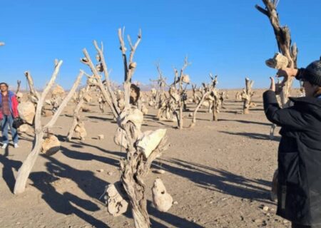 «باغ بهشت» ایرانی در جشنواره انگلیسی