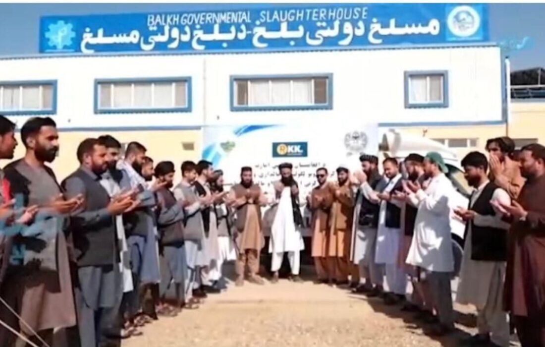 آغاز آزمایشی صادرات گوشت از افغانستان