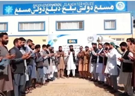 آغاز آزمایشی صادرات گوشت از افغانستان