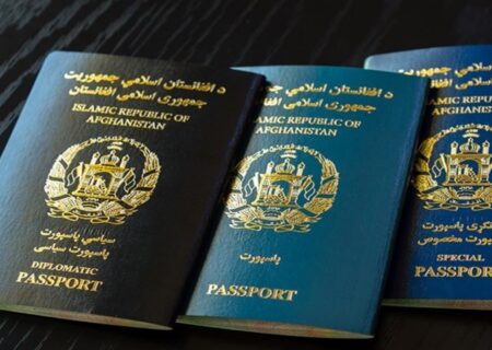آغاز طرح تبدیل پاسپورت‌های خانواری به الکترونیکی برای افغان‌های مقیم ایران