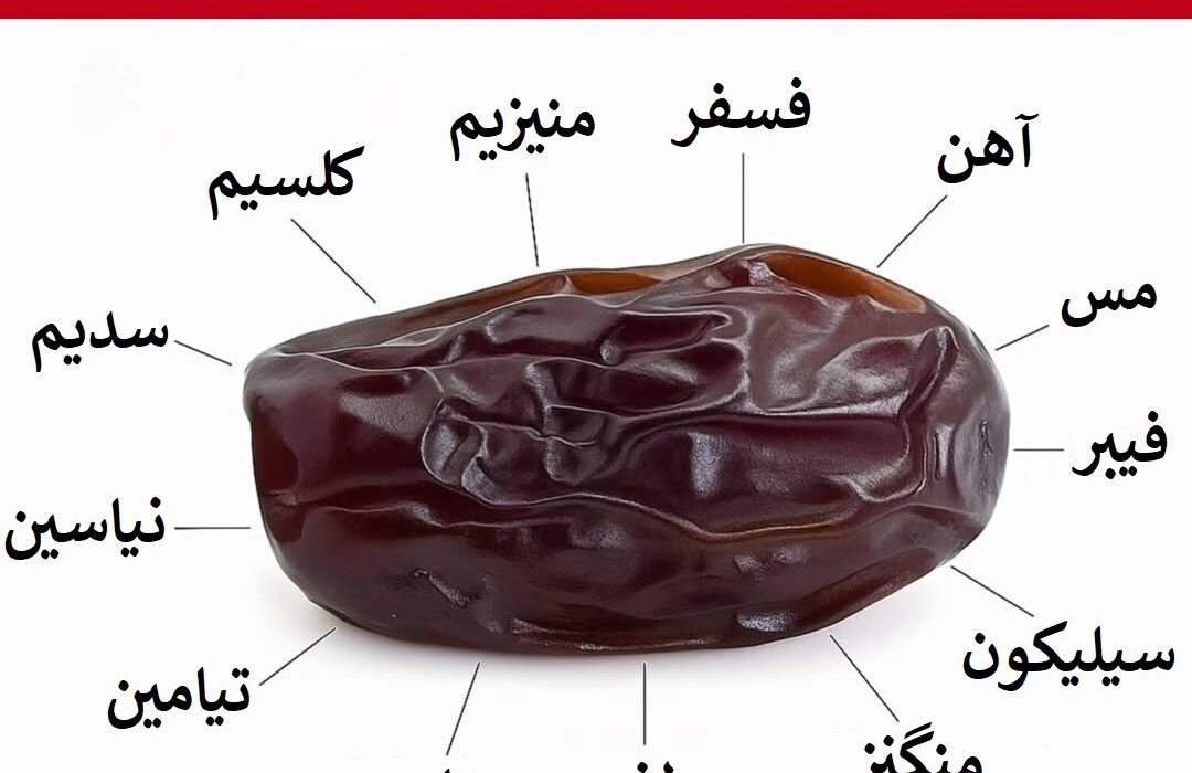 خرما و آب: ترکیبی ساده ؛ انرژی بی پایان