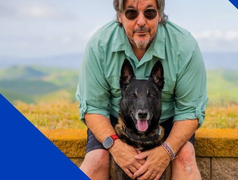 این سگ برنده جایزه هامبون ۲۰۲۵ شد