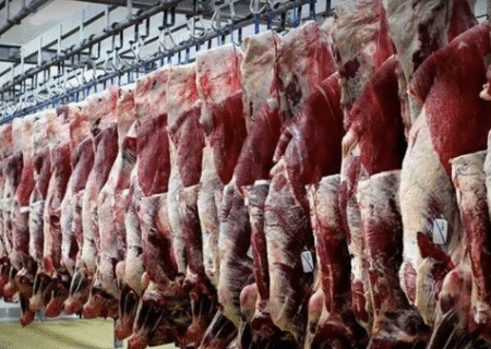 با جایگزین گوشت دولتی آشنا شوید!