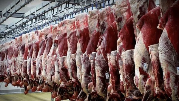 با جایگزین گوشت دولتی آشنا شوید!