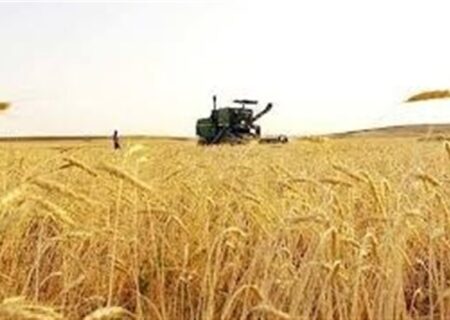نرخ پیشنهادی گندم برای کشاورزان اعلام شد