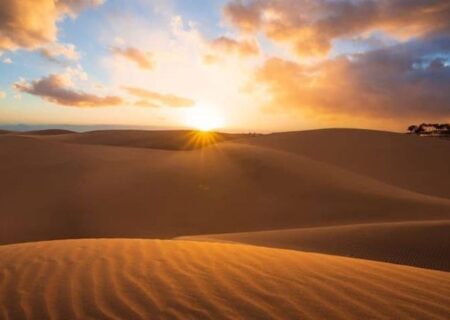 تصویری خیره‌کننده از یک باغ زیبا در کویر