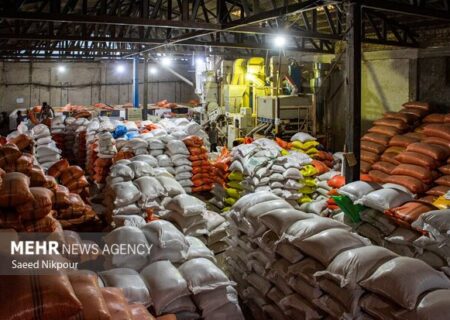 کشف انبار بزرگ برنج احتکاری ۴۲۰ میلیارد تومانی در جنوب تهران