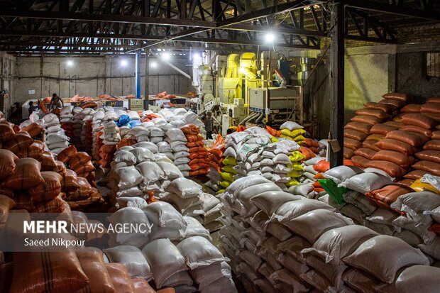 کشف انبار بزرگ برنج احتکاری ۴۲۰ میلیارد تومانی در جنوب تهران