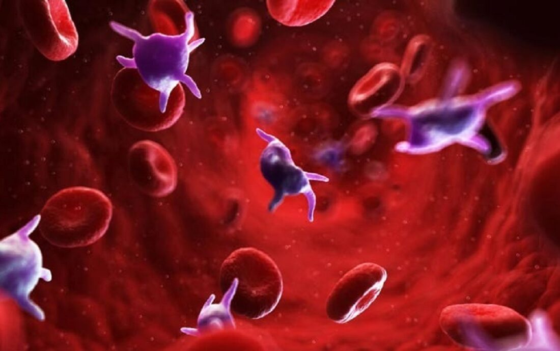 برای افزایش پلاکت خون چه بخوریم؟ + ۱۰ ماده غذایی برای افزایش پلاکت خون