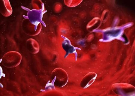 برای افزایش پلاکت خون چه بخوریم؟ + ۱۰ ماده غذایی برای افزایش پلاکت خون