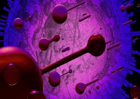 پاسخ معمای «مرغ یا تخم‌مرغ» پیدا شد