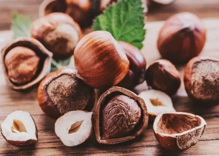 کالری فندق چقدر است؟