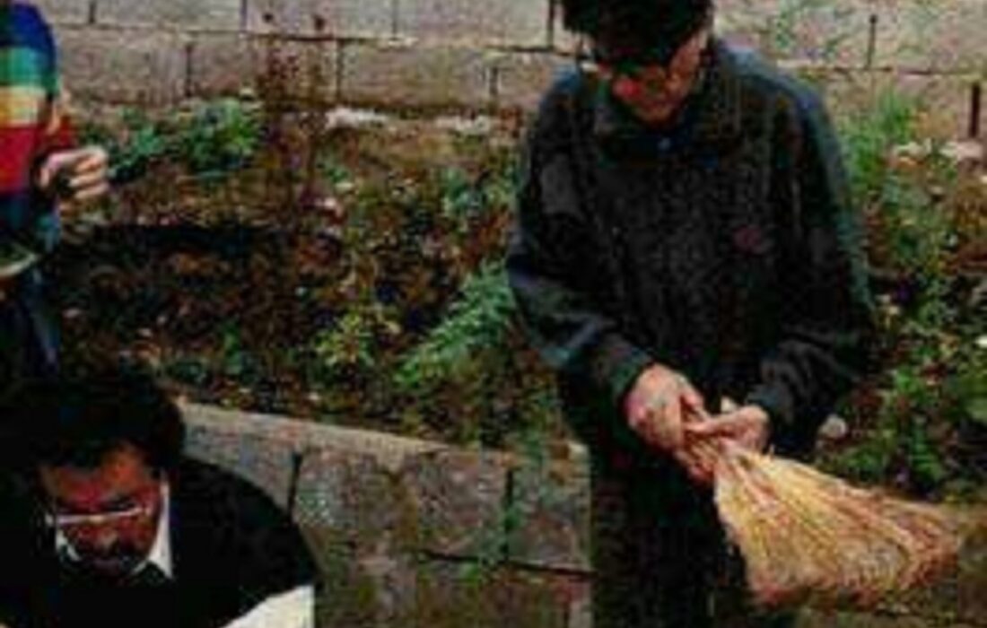 استاد شجریان در حال باد زدن جوجه با جارو!(عکس)