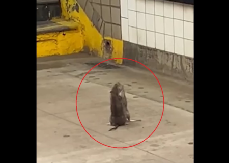 رویدادهای داخلی و خارجی