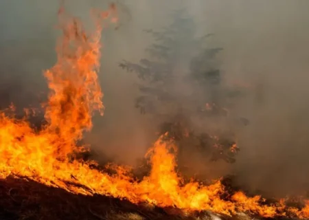 آتش سوزی «گاچال» ایوان(ایلام) صبح امروز دوباره شعله‌ور شد