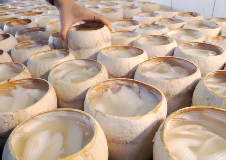 طرز تهیه نوشیدنی بستنی و ژله نارگیل توسط سرآشپزهای حرفه‌ای (فیلم)