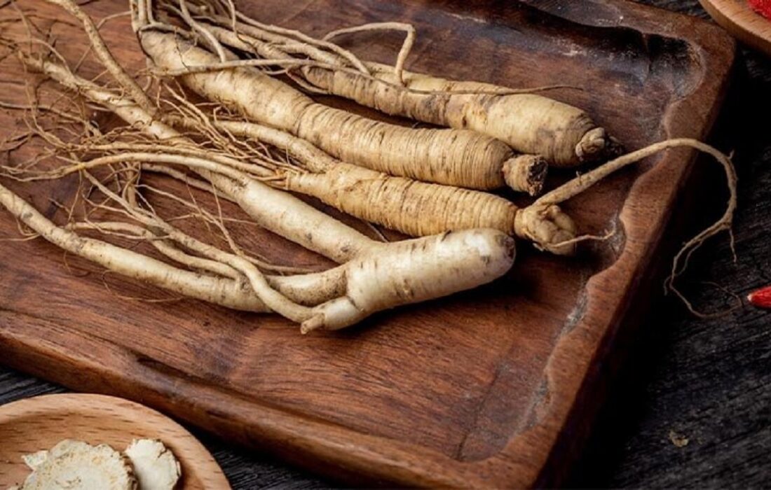 جینسینگ؛ ریشهای کوچک با قدرتی بزرگ