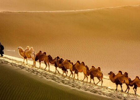 نادرترین گزارش‌ تاریخی از ایران دوره تیمور گورکانی