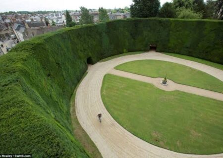 پرچین ۳۰۰ ساله رکورددار انگلیسی