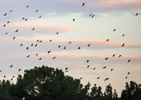 مشهد خنک می‌شود؛ کاهش ۱۳ درجه‌ای دما از فردا