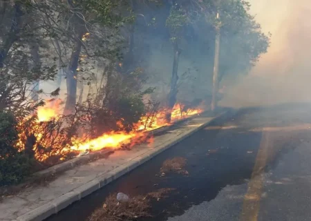 آتش‌سوزی گسترده جنگل‌های سوریه و آتش گرفتن خودروی آتش‌نشانی در لاذقیه (فیلم)