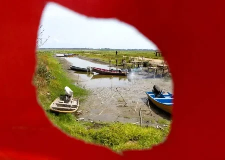 قاتل رودخانه ها و تالاب ها