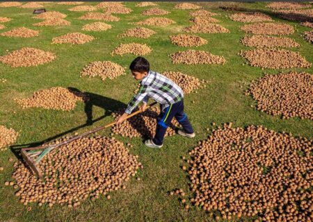 دیدنی های امروز؛ از مسلح شدن بسیج مردمی ونزوئلا تا شناسایی فلسطین در سازمان ملل