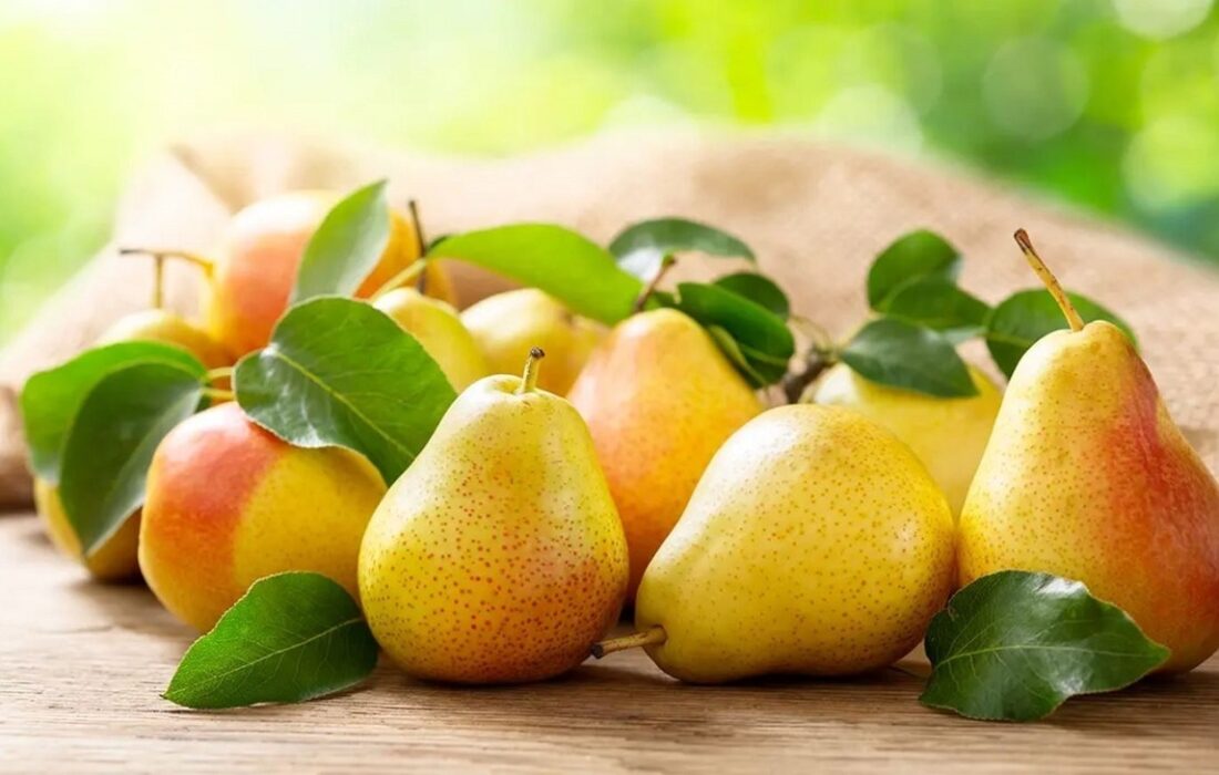 گلابی؛ بهترین میوه برای کنترل قند خون در دیابت بارداری (فیلم)