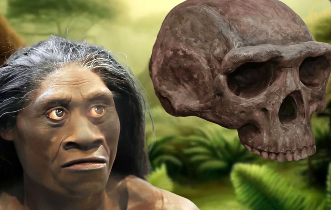 چرا انسانهای هابیت جثه کوچکی داشتند؟