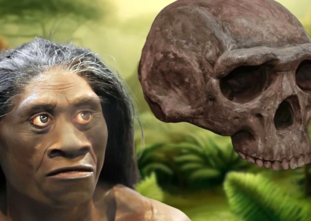 چرا انسان‌های هابیت جثه کوچکی داشتند؟