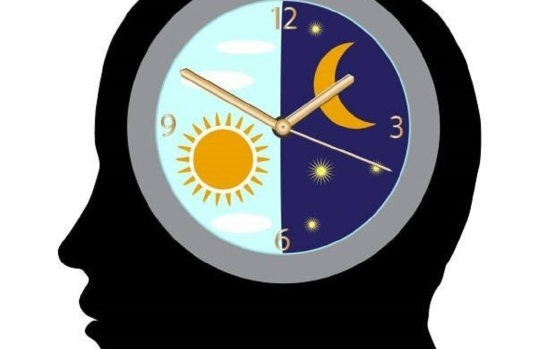 بیوریتم: تعاریف، چرخهها و کاربردها