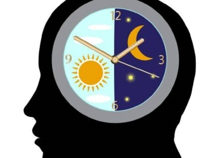 بیوریتم: تعاریف، چرخه‌ها و کاربردها