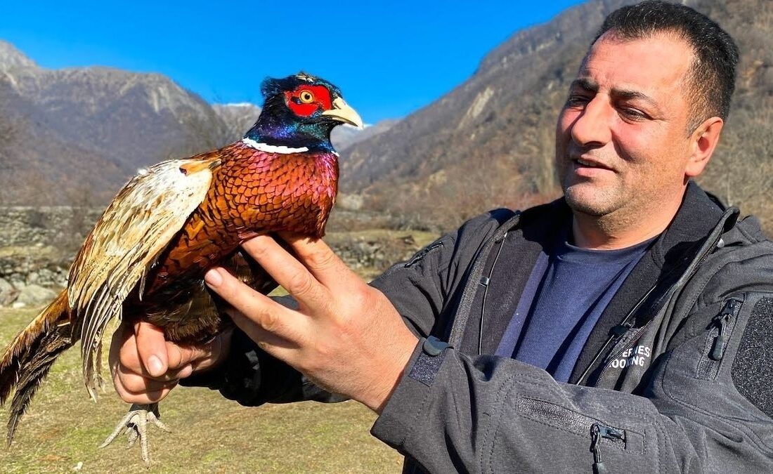 طرز تهیه شاه پلوی قرقاول به سبک آشپزهای روستایی آذربایجان + فیلم