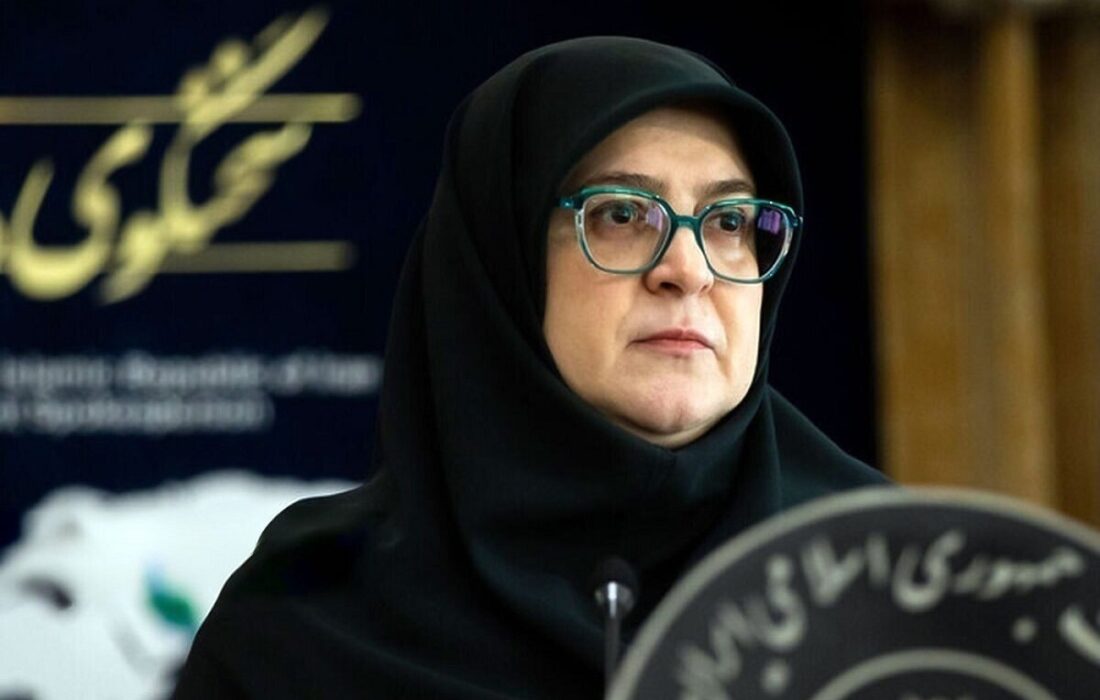 اعلام سخنگوی دولت: سقف اعتبار کارت خرید بانک مرکزی به ۵۰۰ میلیون تومان رسید + فیلم