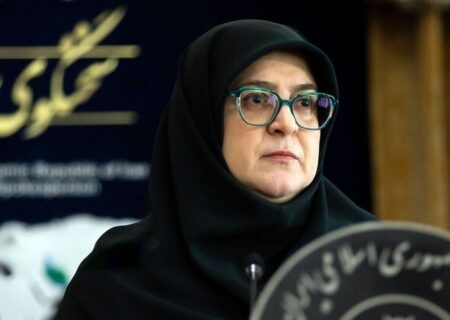 اعلام سخنگوی دولت: سقف اعتبار کارت خرید بانک مرکزی به ۵۰۰ میلیون تومان رسید + فیلم