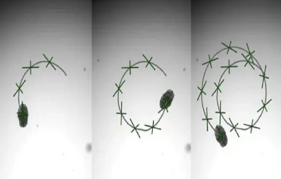 دانشمندان بافت زنده ریه انسان را به زیستبات تبدیل کردند