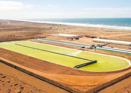 غول‌پیکرترین مزرعه جلبک دنیا؛ راهکاری سبز برای مقابله با تغییرات آب‌وهوایی +تصاویر