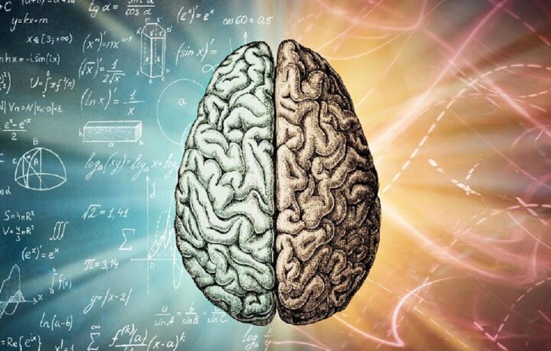 اوتیسم: بهای تکامل مغز انسان؟