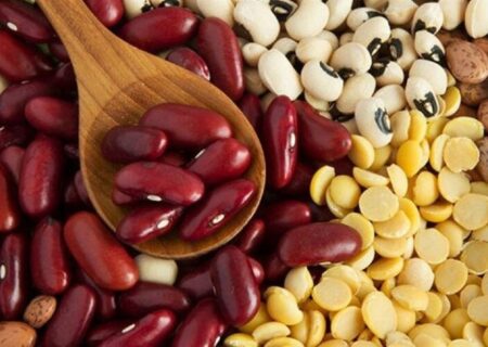 پنج لوبیای رنگی و تاثیر شگفت‌انگیز آن‌ها در بهبود عملکرد اندام‌های بدن