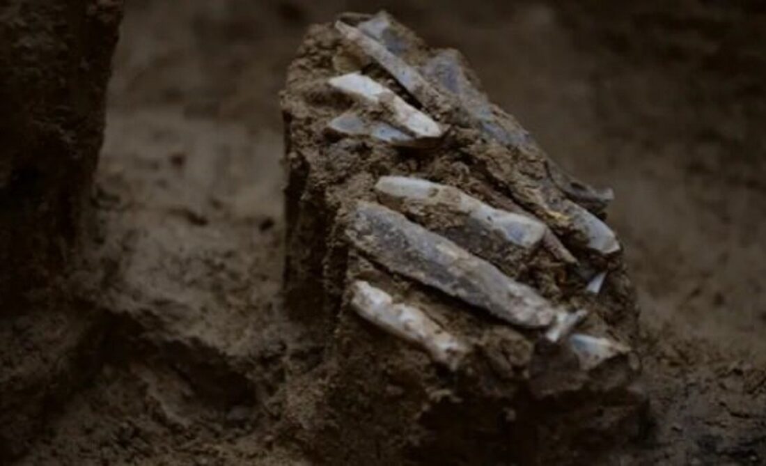 کشف مجموعه ابزار سنگی متعلق به «عصر حجر» (+تصاویر)