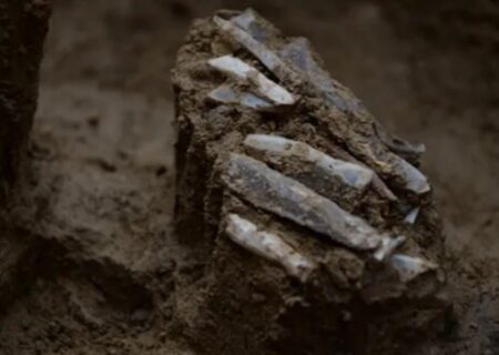 کشف مجموعه ابزار سنگی متعلق به «عصر حجر» (+تصاویر)