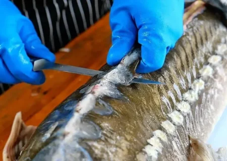 کباب ماهی خاویاری، خوراک خیابانی پرطرفدار در پایتخت تایلند + فیلم