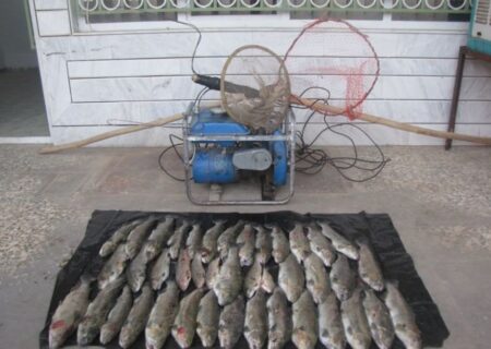 کشف ۲۱۰ قطعه سیاه‌ماهی از ۶ صیاد متخلف در شاهین‌دژ