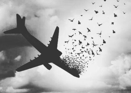 تعبیر خواب سقوط هواپیما